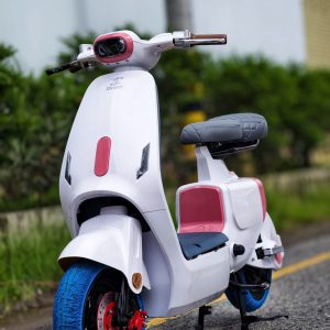 Xe máy điện 1